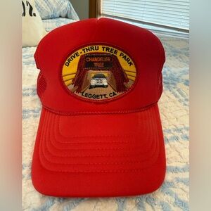 Drive Thru the Tree California snap back hat